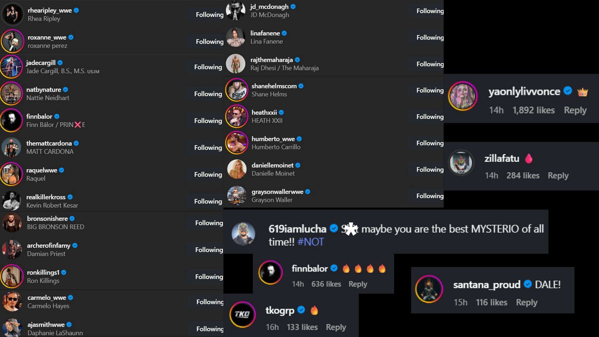 Screenshots of stars&#039; likes and comments [Image credit: Dominik Mysterio&#039;s Instagram]