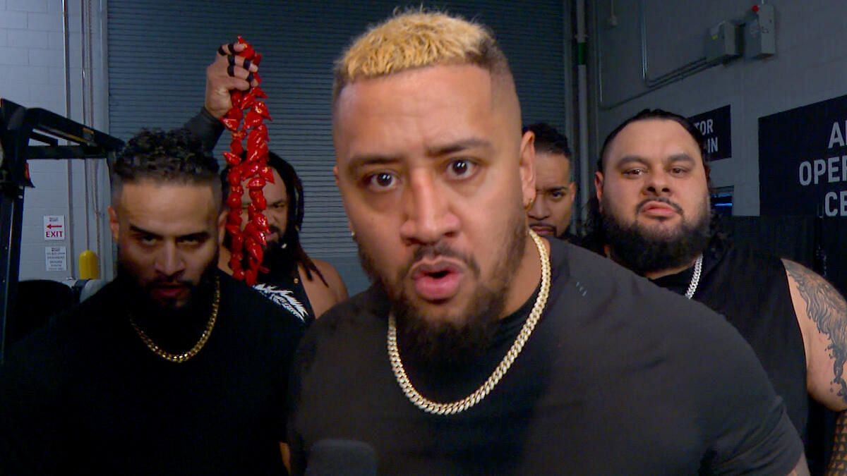 WWE has made a huge botch (Credit: WWE.com)