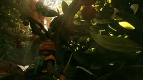 Grounded 2: Where to find Lingonberry?