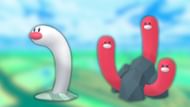 Wiglett and its evolution Wugtrio (Image via The Pokemon Company)