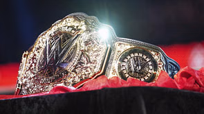 6-time WWE World Champion refuses to do a retirement tour!