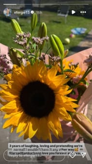 přes Instagram /@efergie13