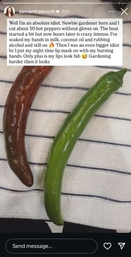 Samantha Busch's Instagram Story via Instagram