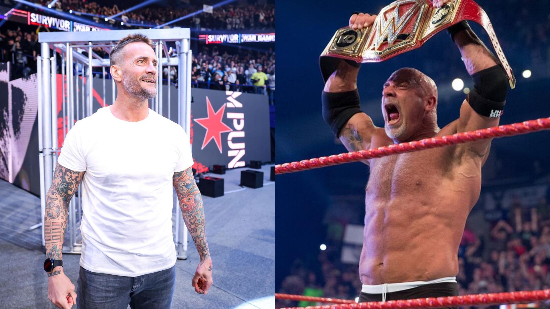 What did a former WWE star say about CM Punk and Goldberg? (via WWE.com)