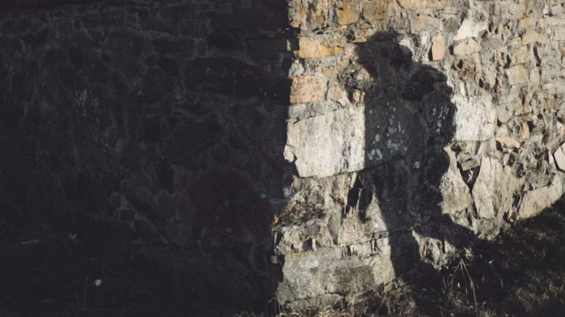Stalking Samantha: 13 Years of Terror (Image via Unsplash/ @ Joakim N&aring;dell)