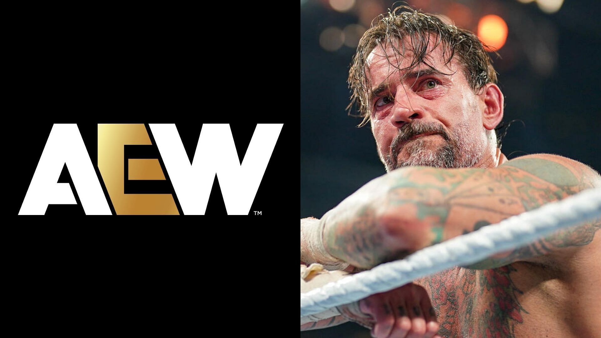 CM Punk was the victim of a MITB cash-in last night at SummerSlam [Photo: wwe.com]