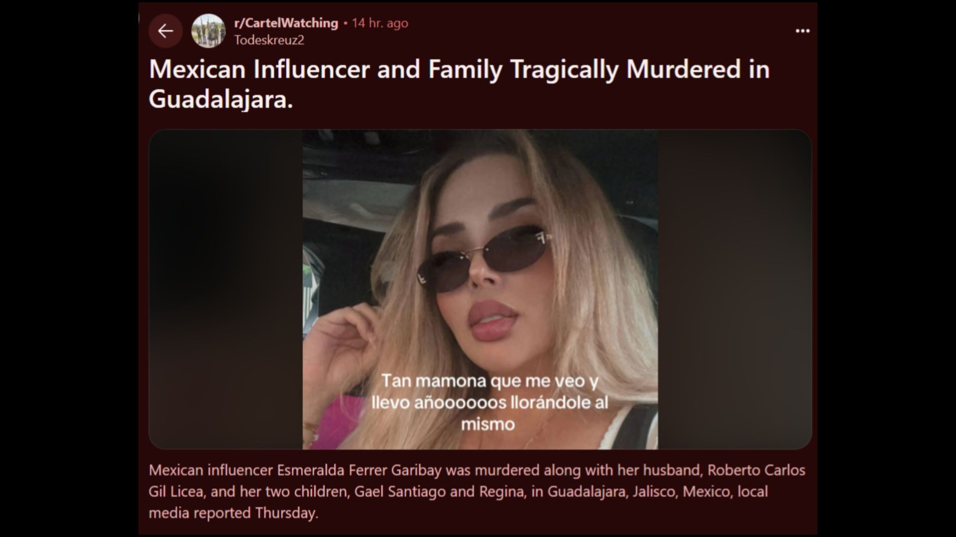 Mexican content creator Esmeralda Ferrer and her family have been murdered in Guadalajara. (Image via Reddit/@u/Todeskreuz2, r/CartelWatching)