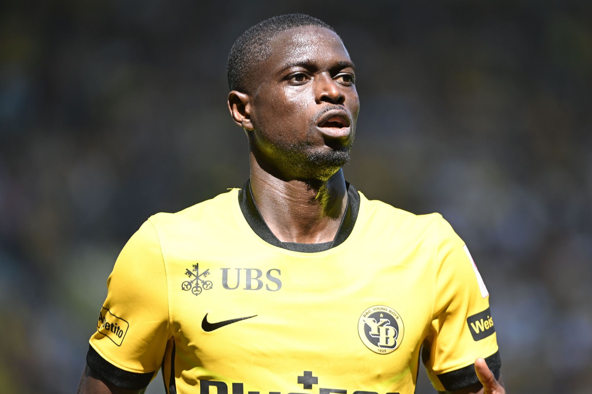 BSC Young Boys v FC Sion - Swiss Super League 2025/26 - Source: Getty