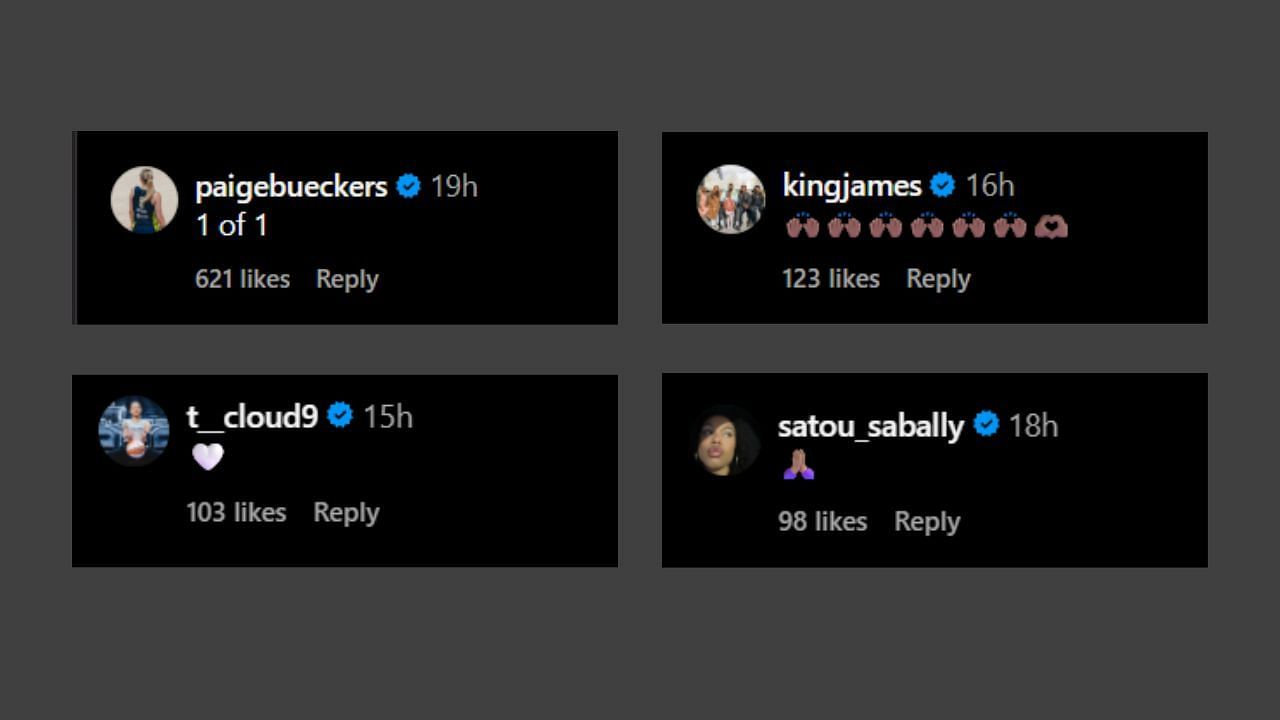LeBron James and others comment on Taurasi&#039;s IG post. (Credits: @dianataurasi/Instagram)