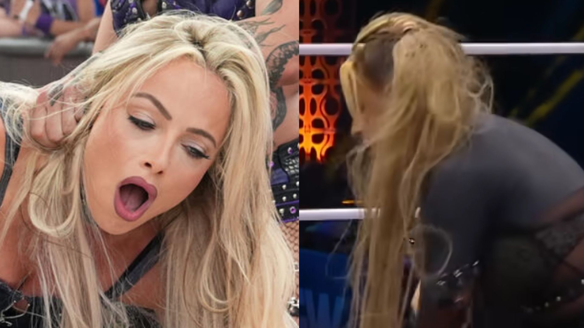 A certain AEW star has the potential to become as popular as Liv Morgan. (Images via WWE.com and AEW YouTube) 