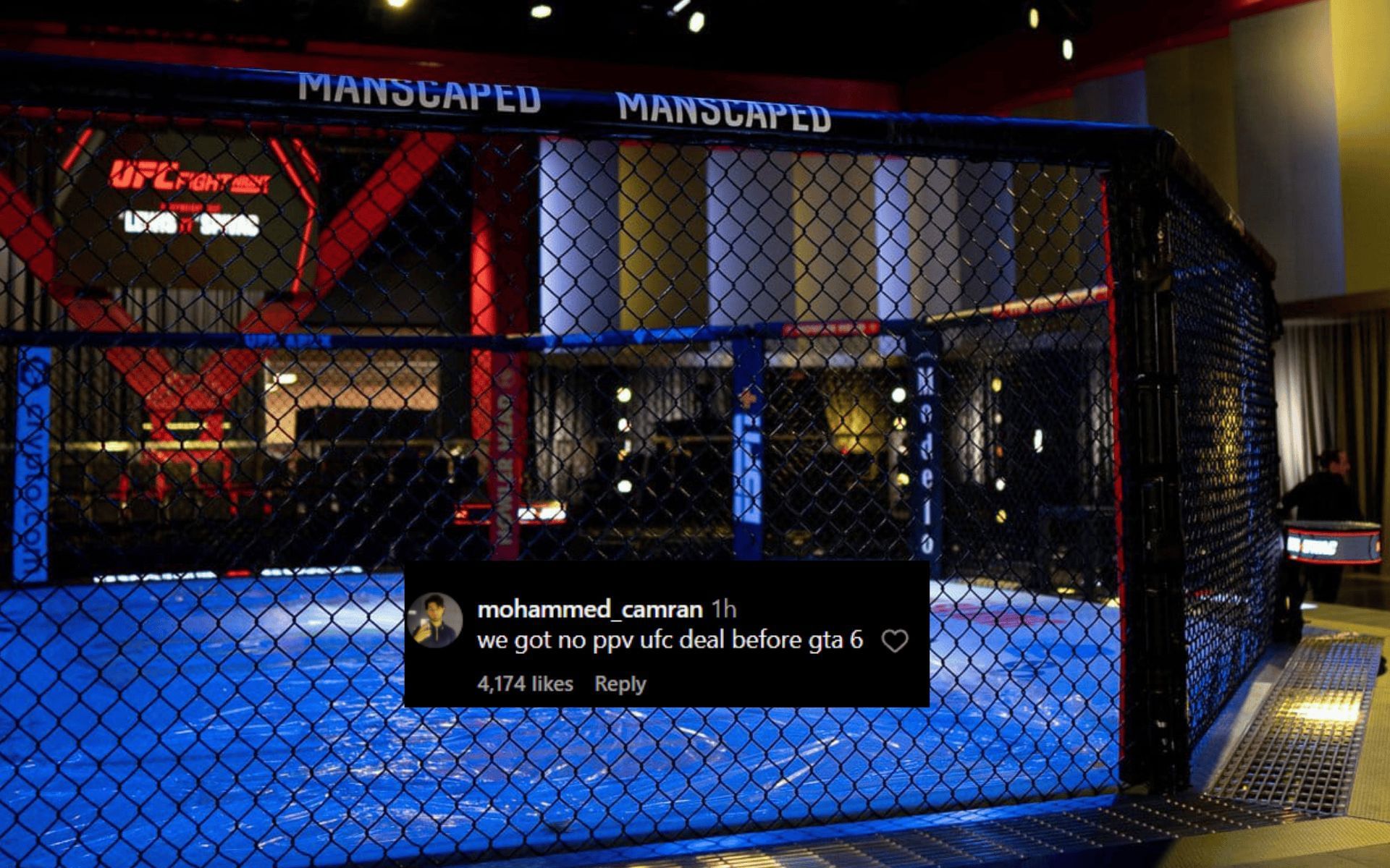 Fans react to UFC
