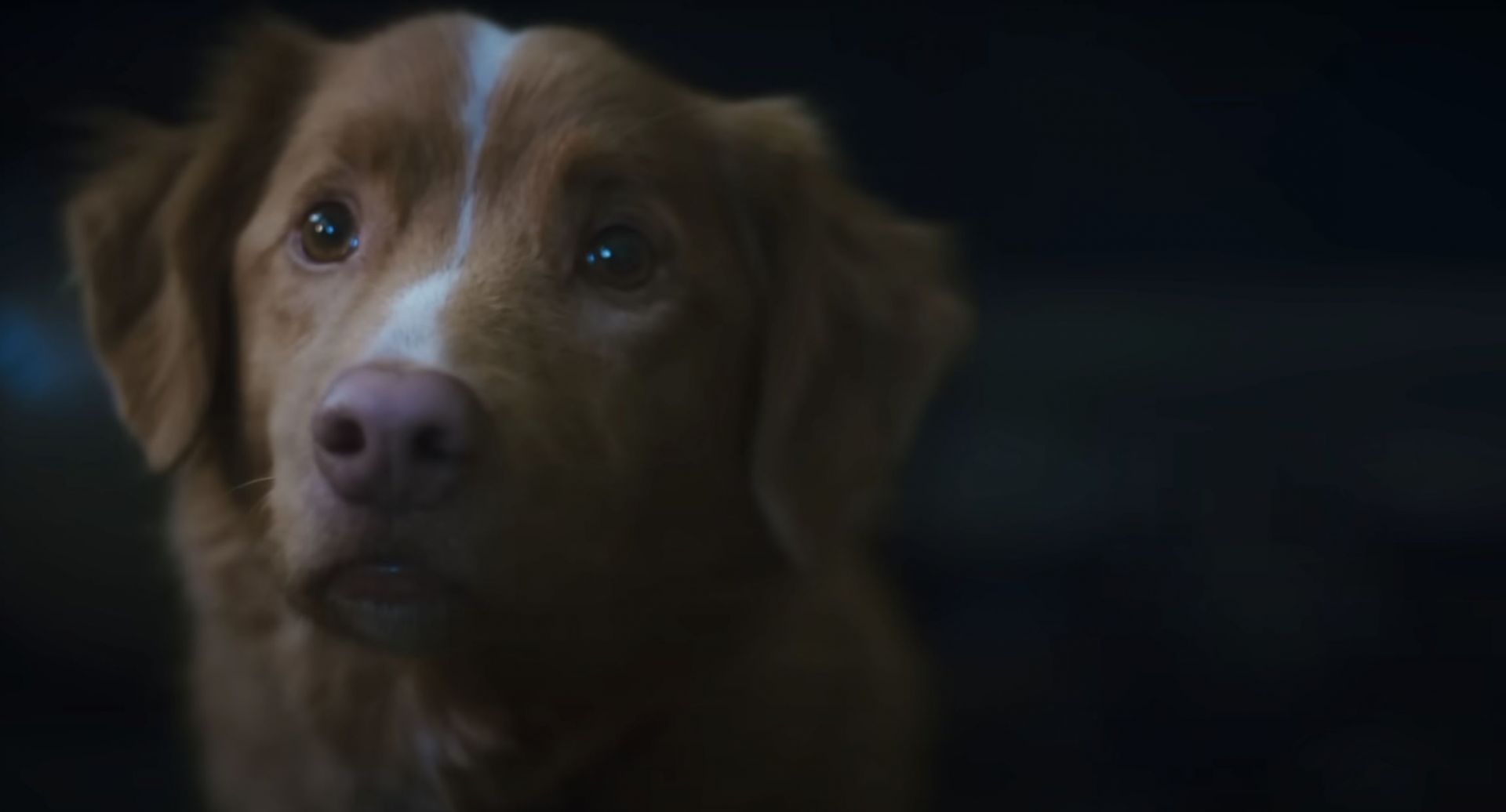 A still from the film
