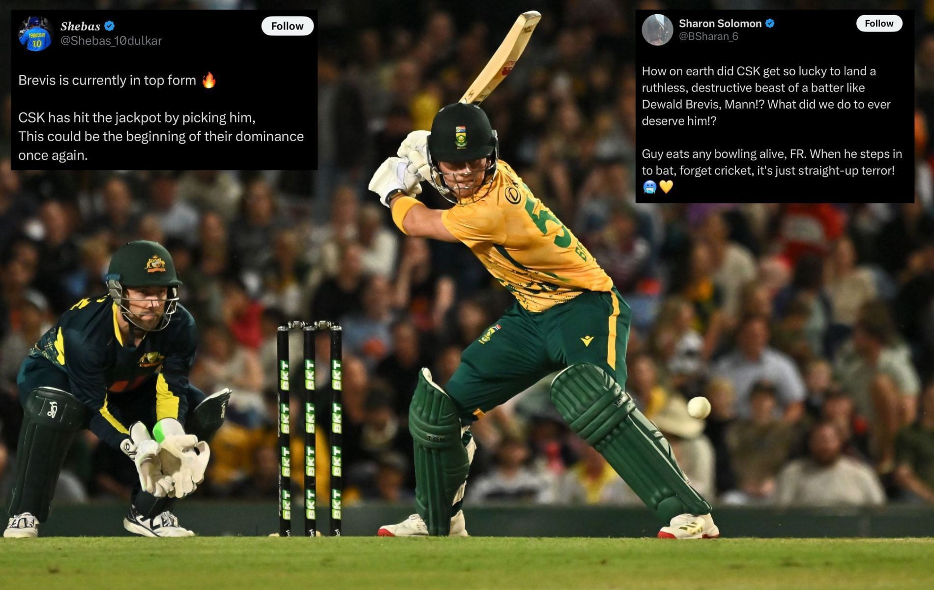 Dewald Brevis earned widespread praise for his knock. (Pics: Getty Images/X/@Shebas_10dulkar/@BSharan_6).