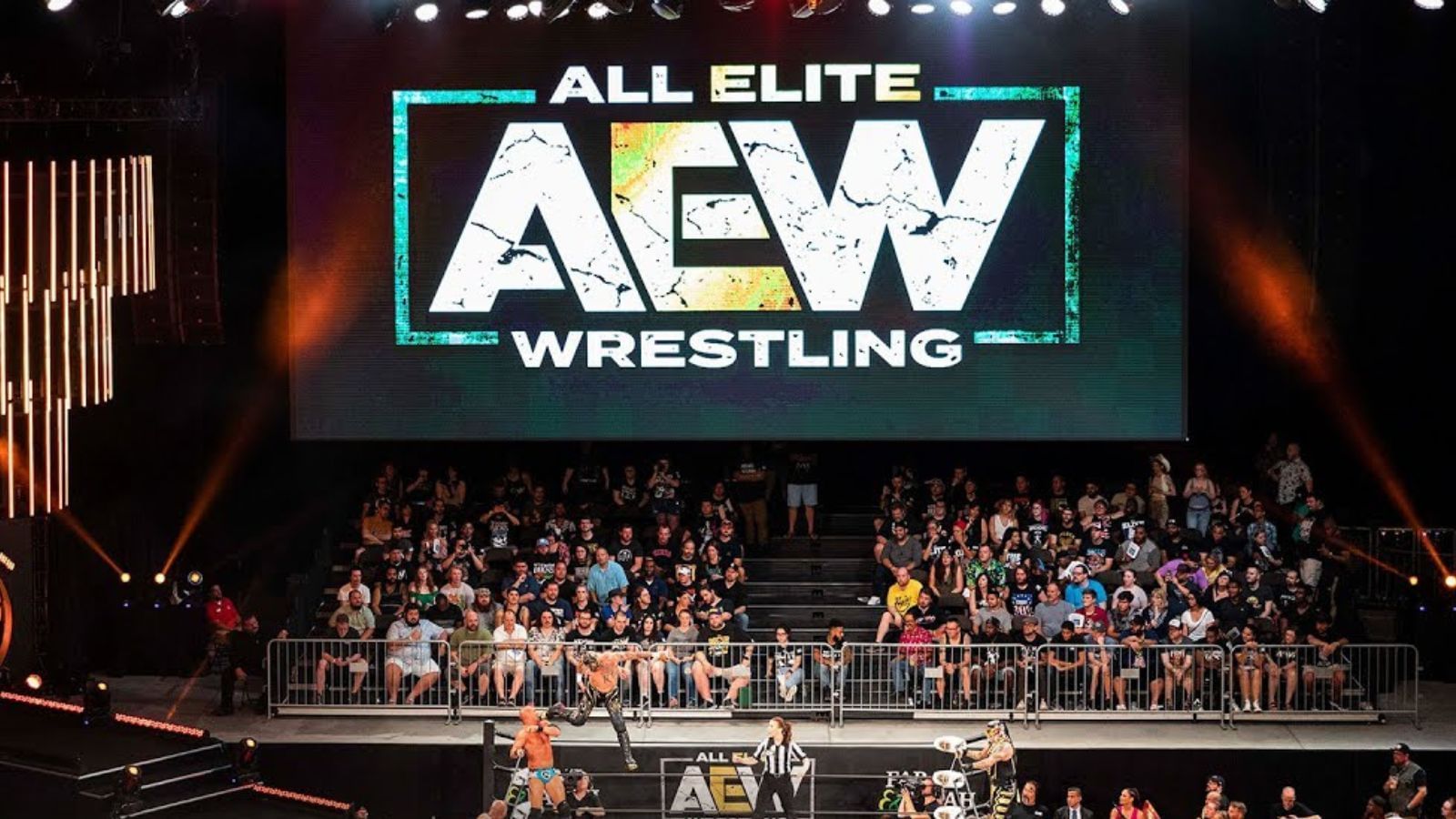 AEW fans