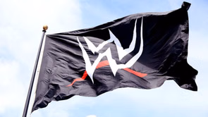 "I was fired from my dream job" - Top name released from WWE