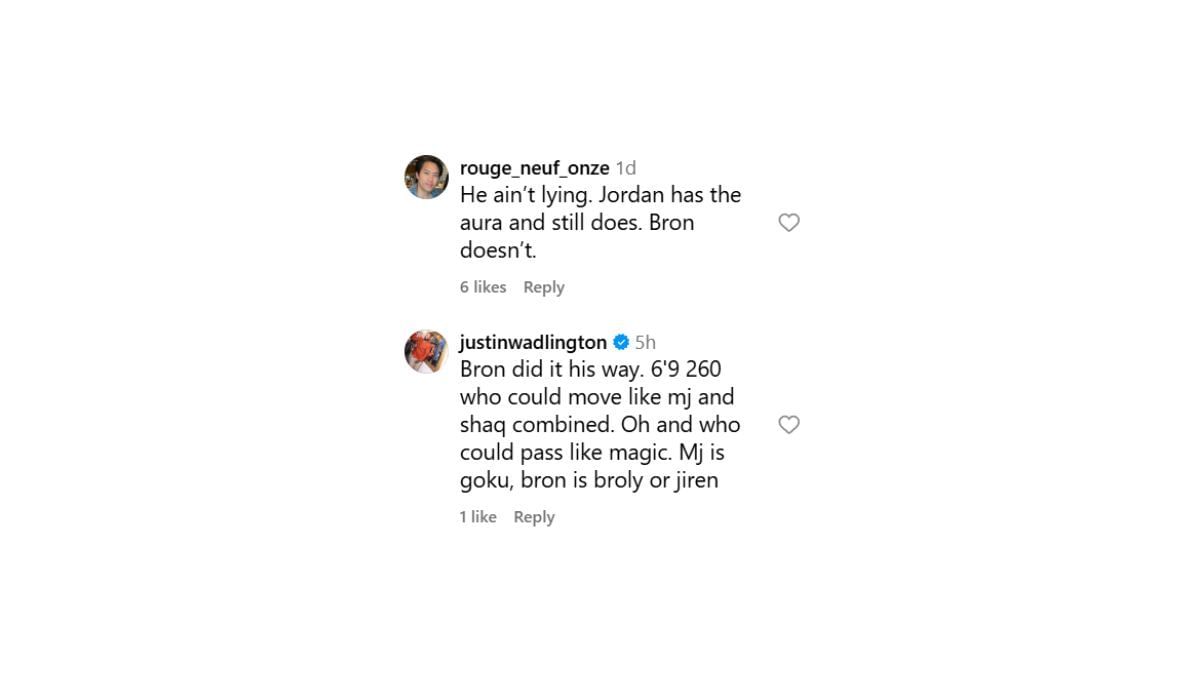 LeBron and Jordan fans respond to Rodman&#039;s comments (Source: Instagram/weluvlebronjames)