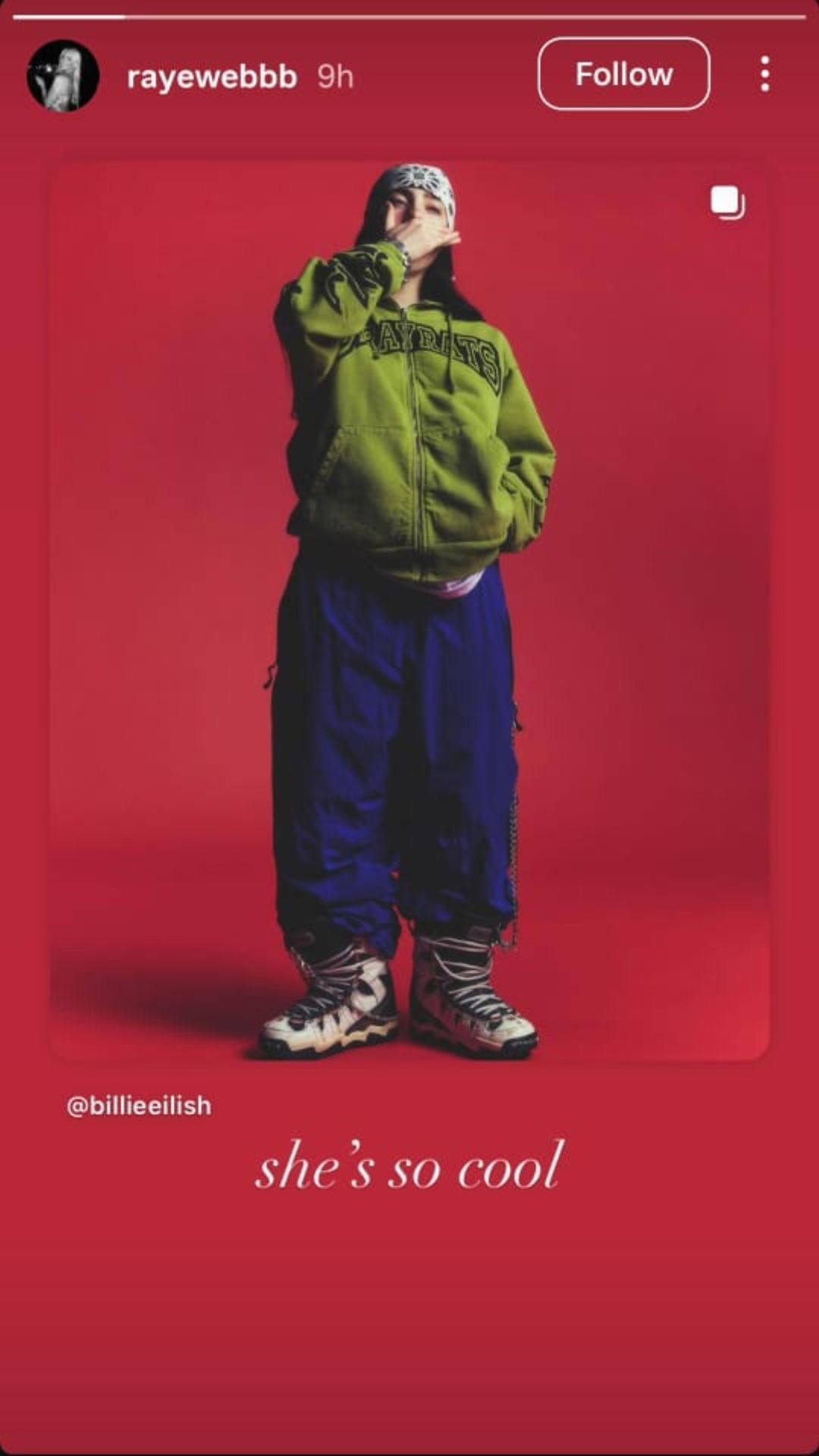 An image of Raye Webb&#039;s story [Image via Instagram - @rayewebbb]