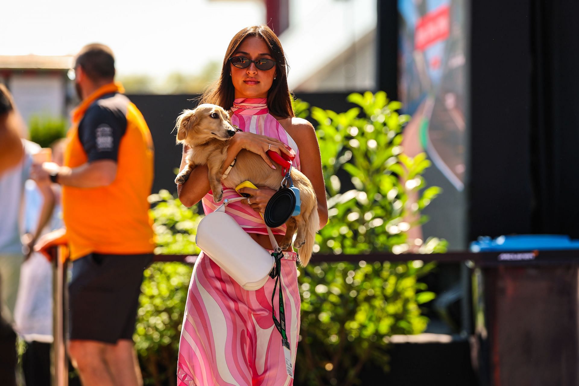 F1 Grand Prix of Hungary - Practice - Source: Getty