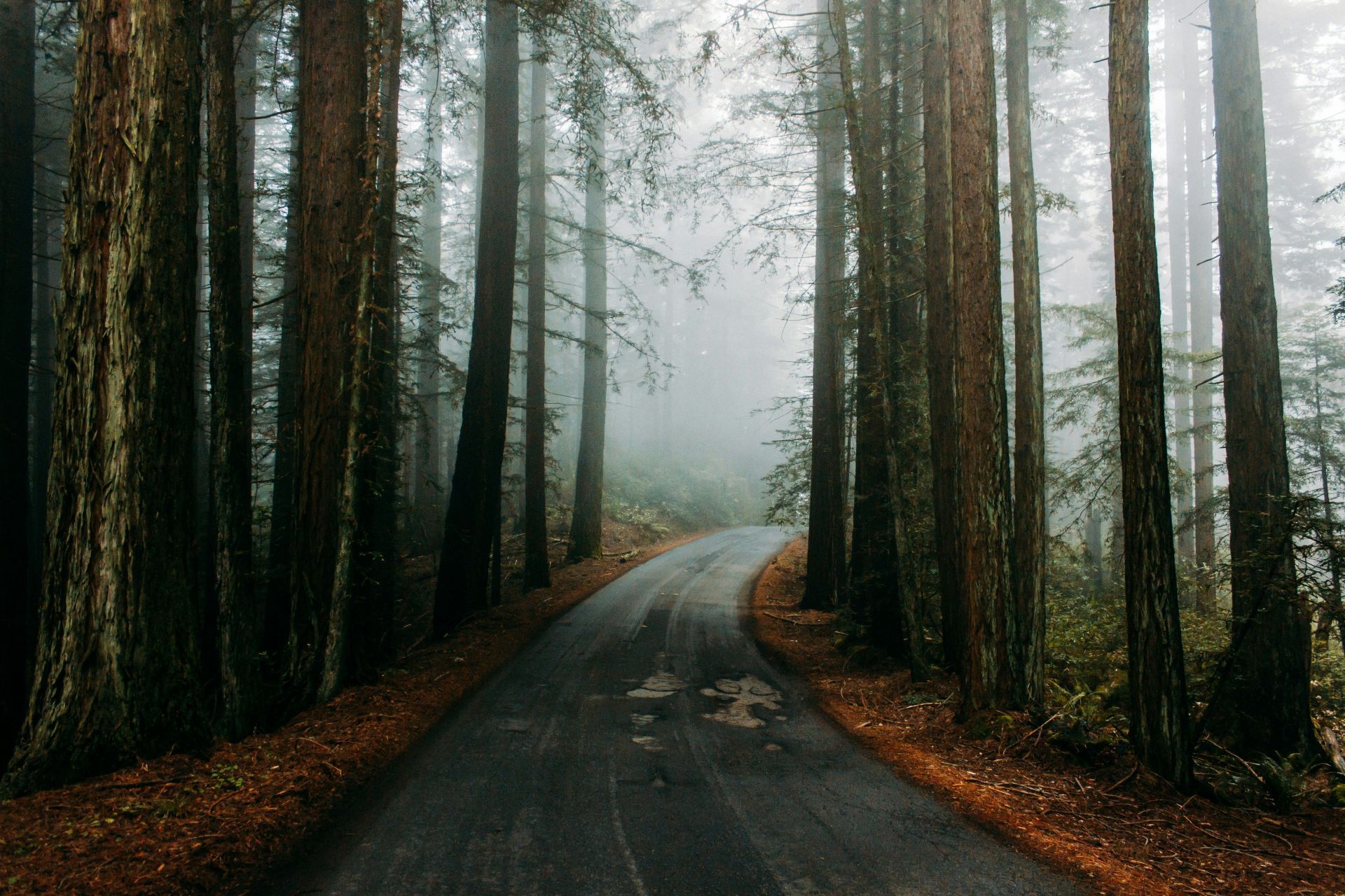 Ridgway left the bodies in remote areas and revisited them(Image via Unsplash)