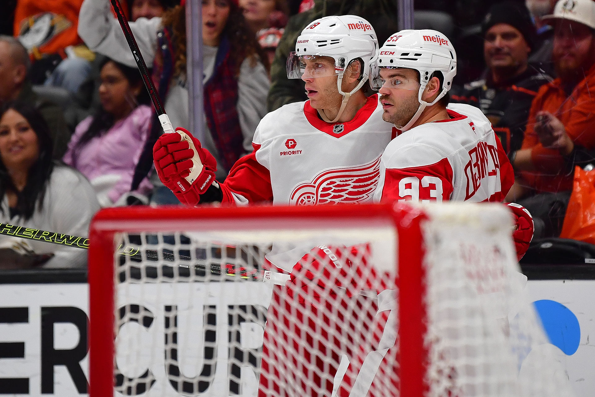 NHL: Detroit Red Wings at Anaheim Ducks - Source: Imagn