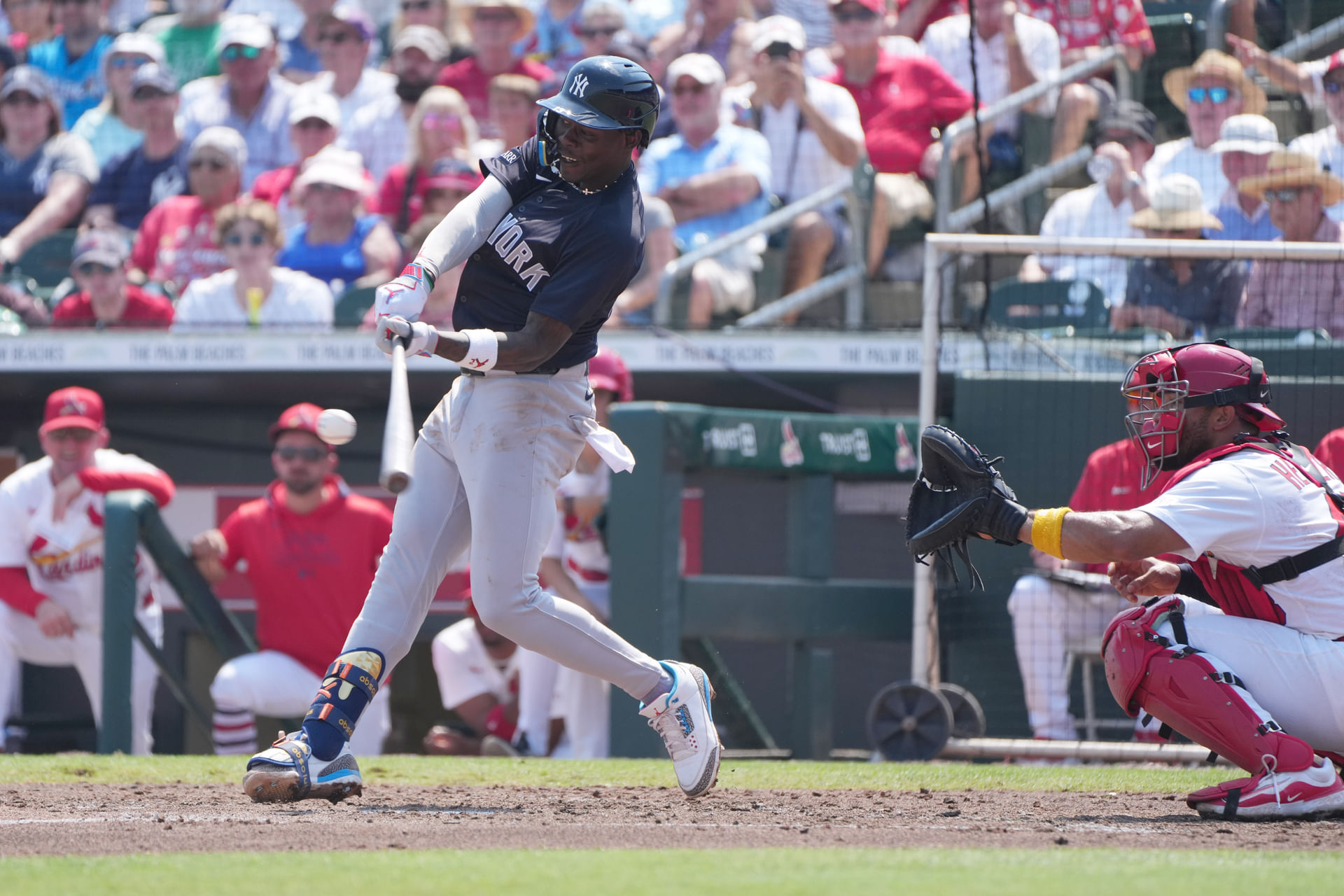 MLB: Spring Training-New York Yankees at St. Louis Cardinals - Source: Imagn