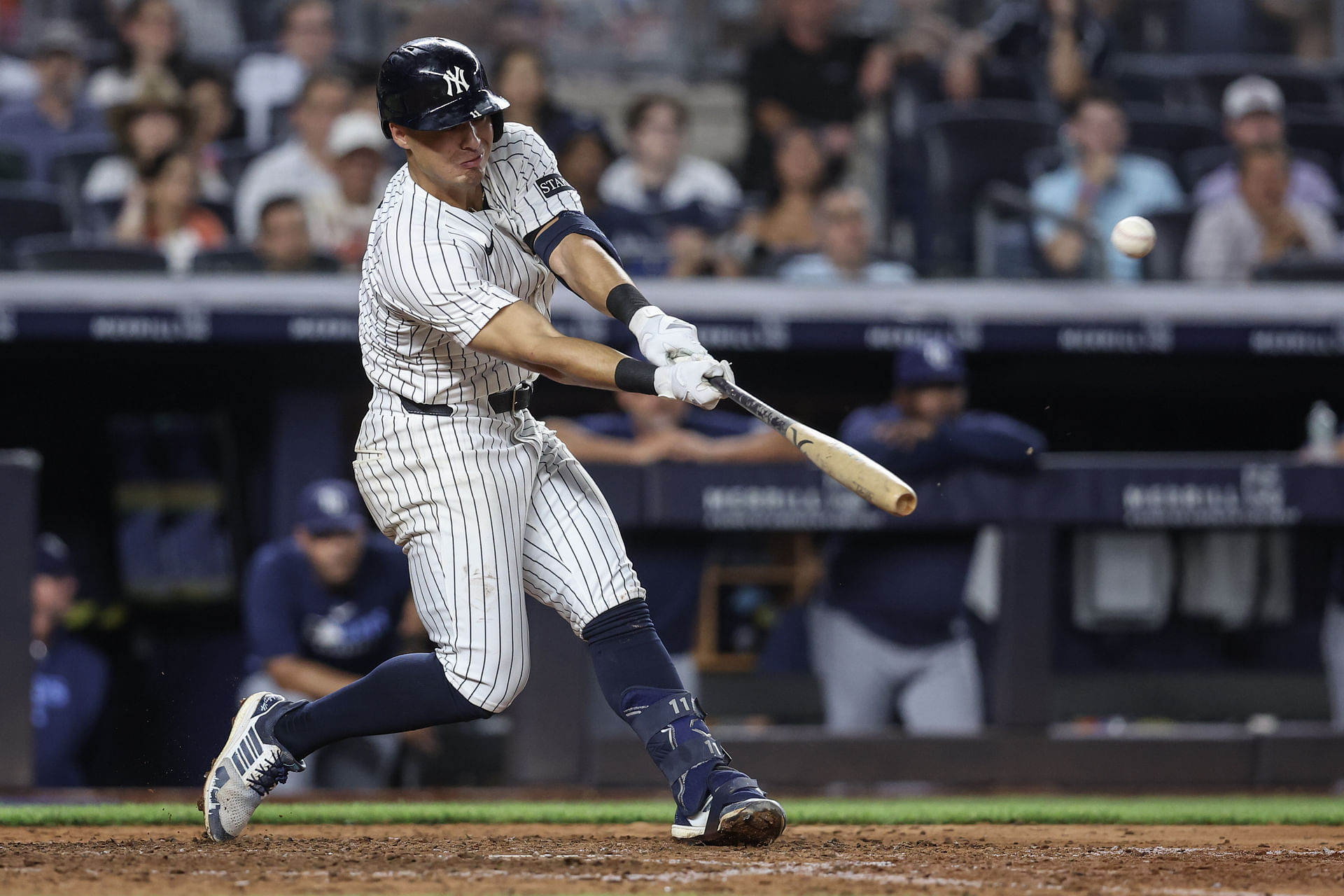 MLB: Tampa Bay Rays at New York Yankees - Source: Imagn