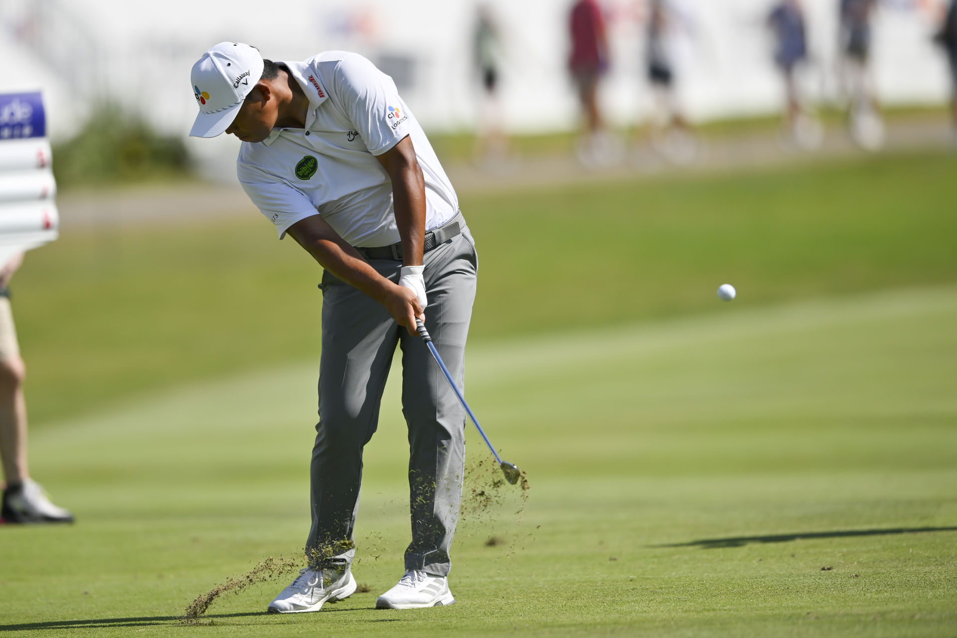PGA: FedEx St. Jude Championship - Third Round - Source: Imagn