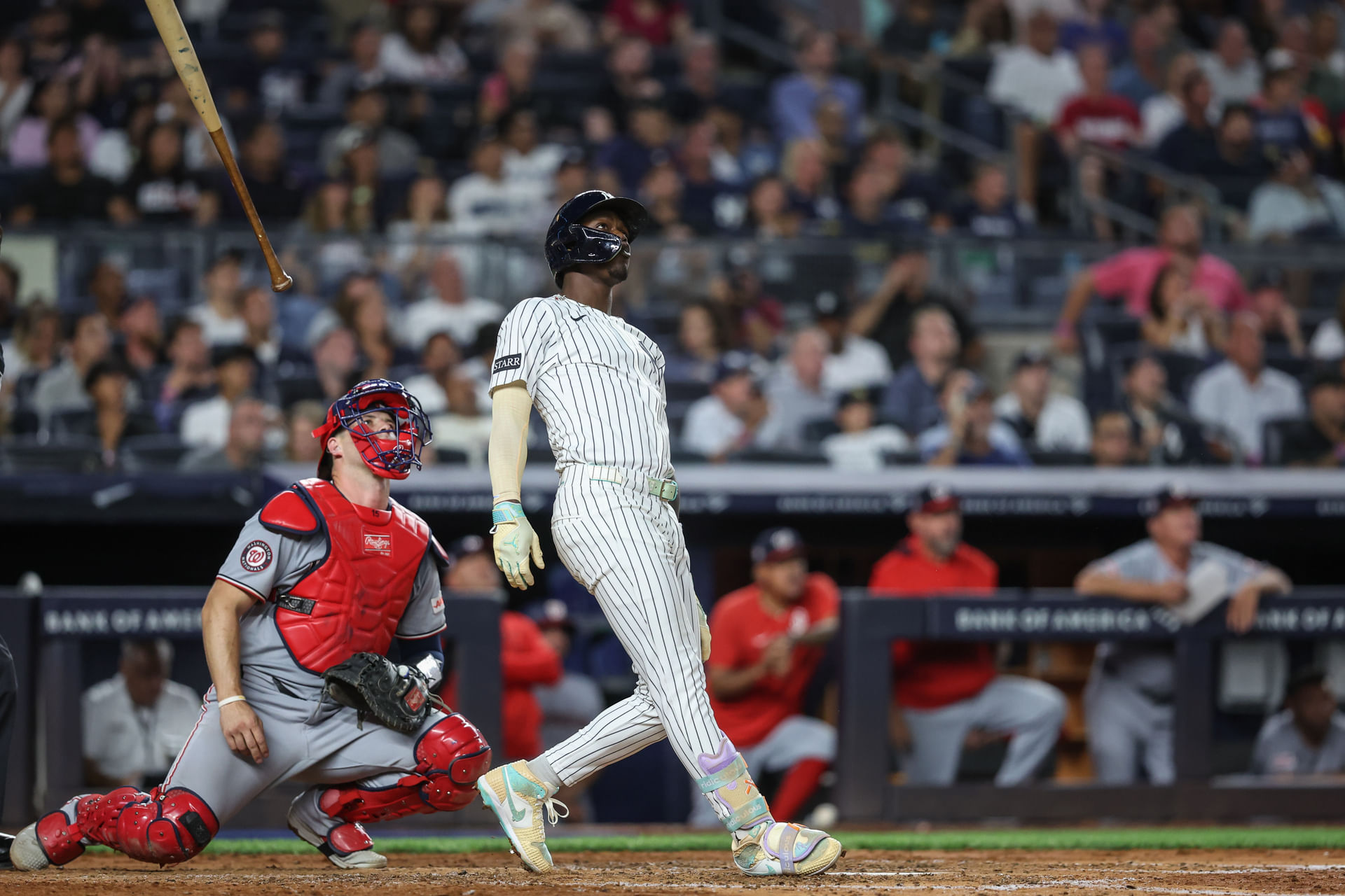 MLB: Washington Nationals at New York Yankees - Source: Imagn