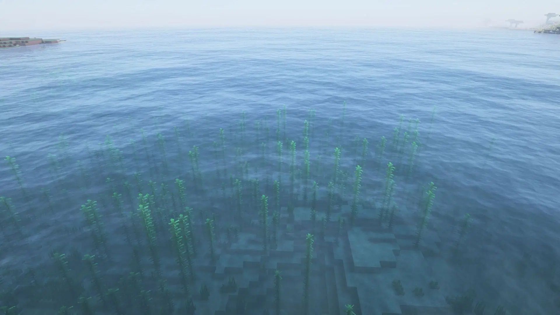 The ocean in Minecraft is quite empty when it comes to mobs (Image via Mojang Studios)