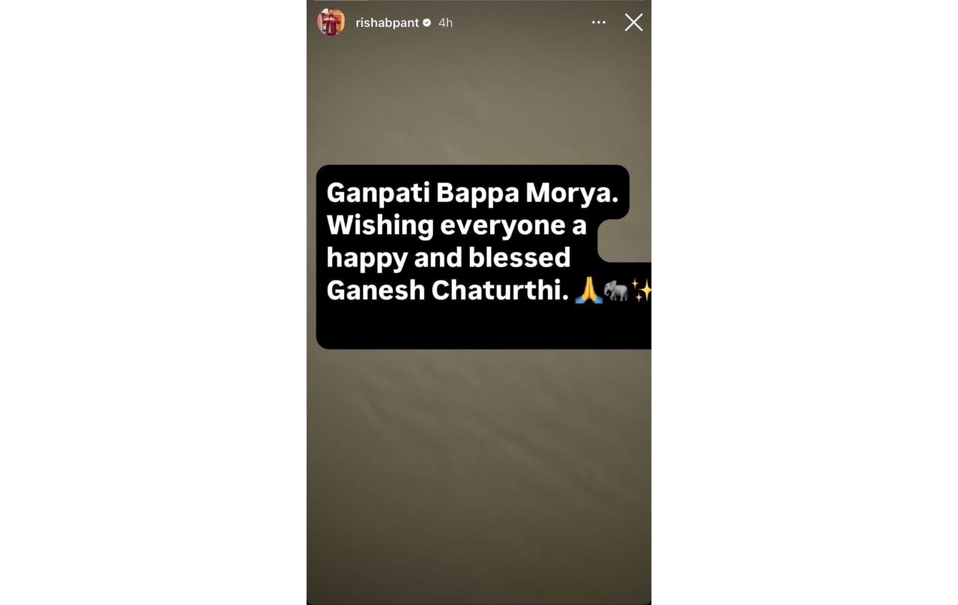 Screenshot of Rishabh Pant&#039;s Instagram story.