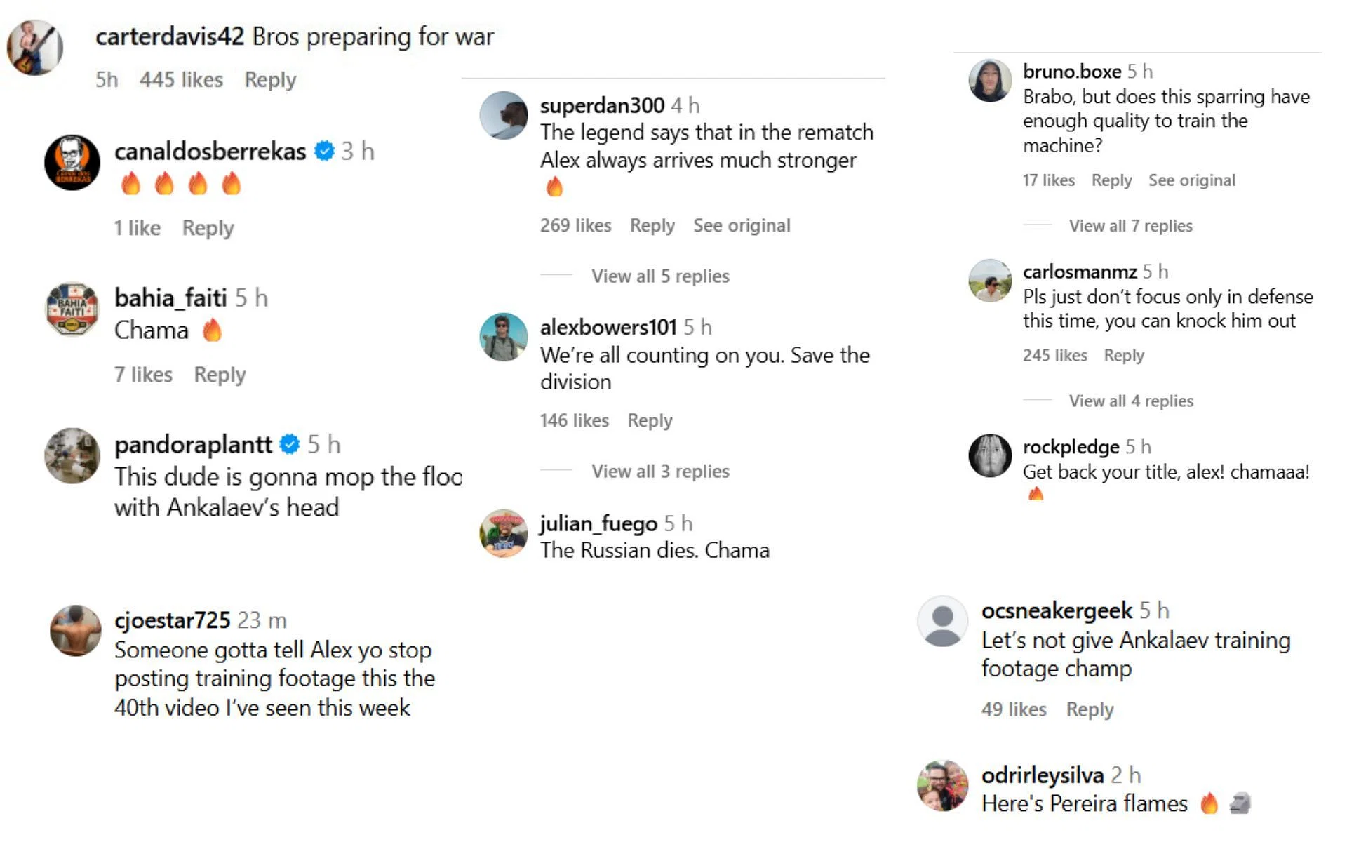 Fans interact with new Alex Pereira training footage. (Compliment screenshots: Alexpoatanpereira on Instagram)