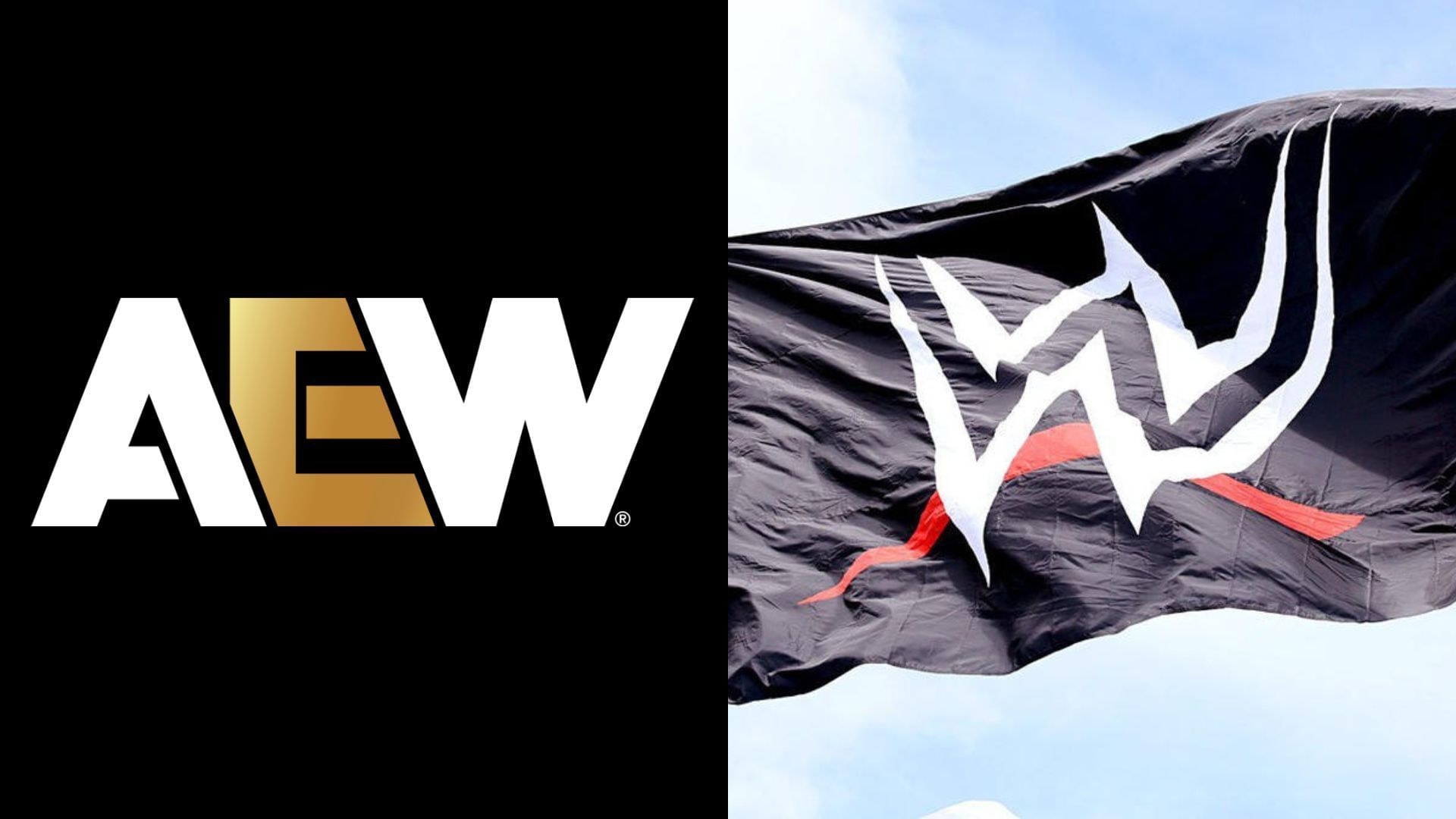 AEW and WWE are mega-players in the wrestling industry [photo: allelitewrestling.com and wwe.com]