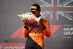 Damon Hill drops 1-word reaction to Lando Norris edging closer to a historic McLaren feat
