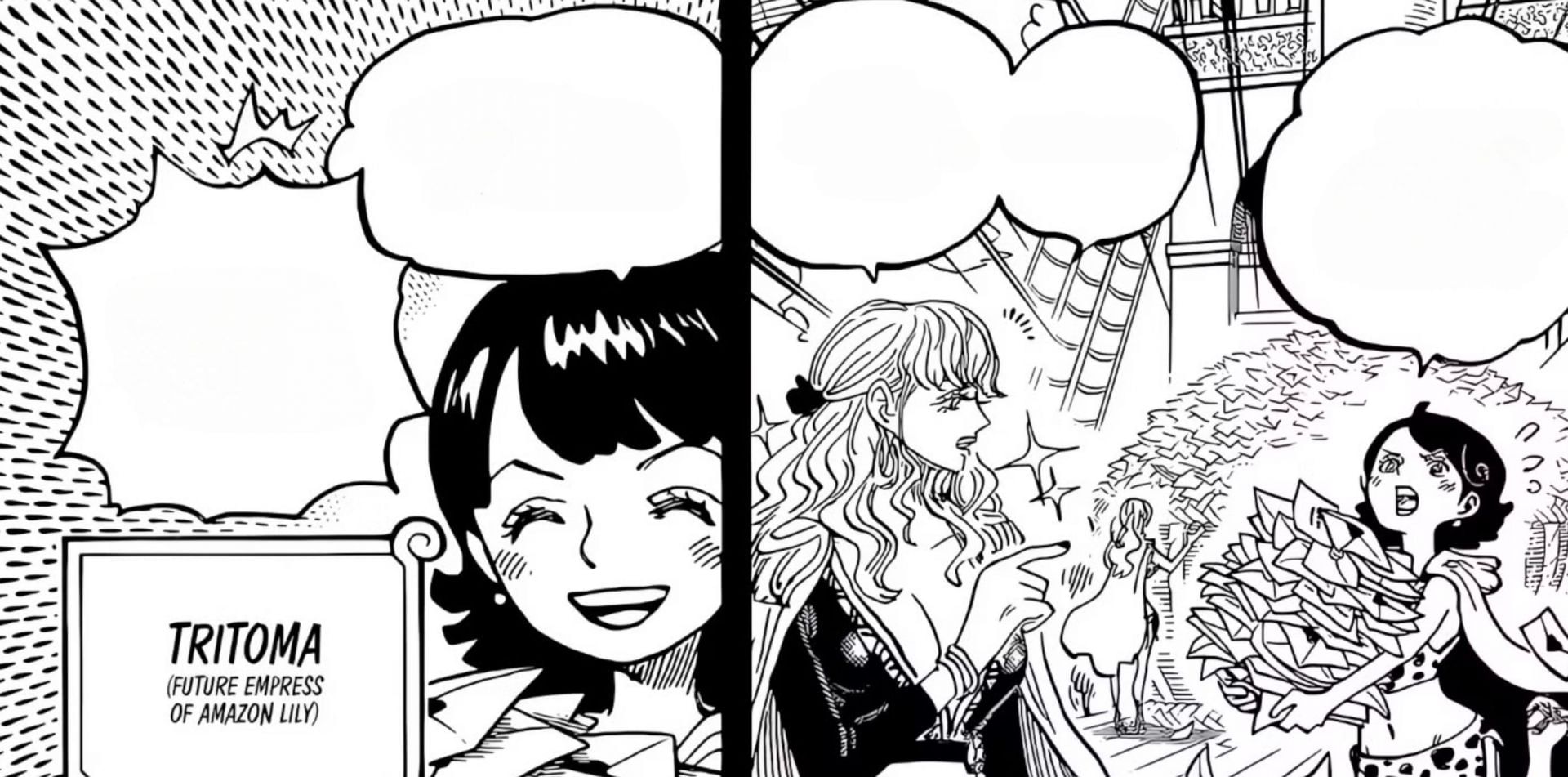 Tritoma died due to Lock Sickness in One Piece (Image via Shueisha)