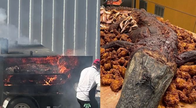 WATCH: Alabama football's insane nutrition program features massive Gator to an entire pig on table before gamedays
