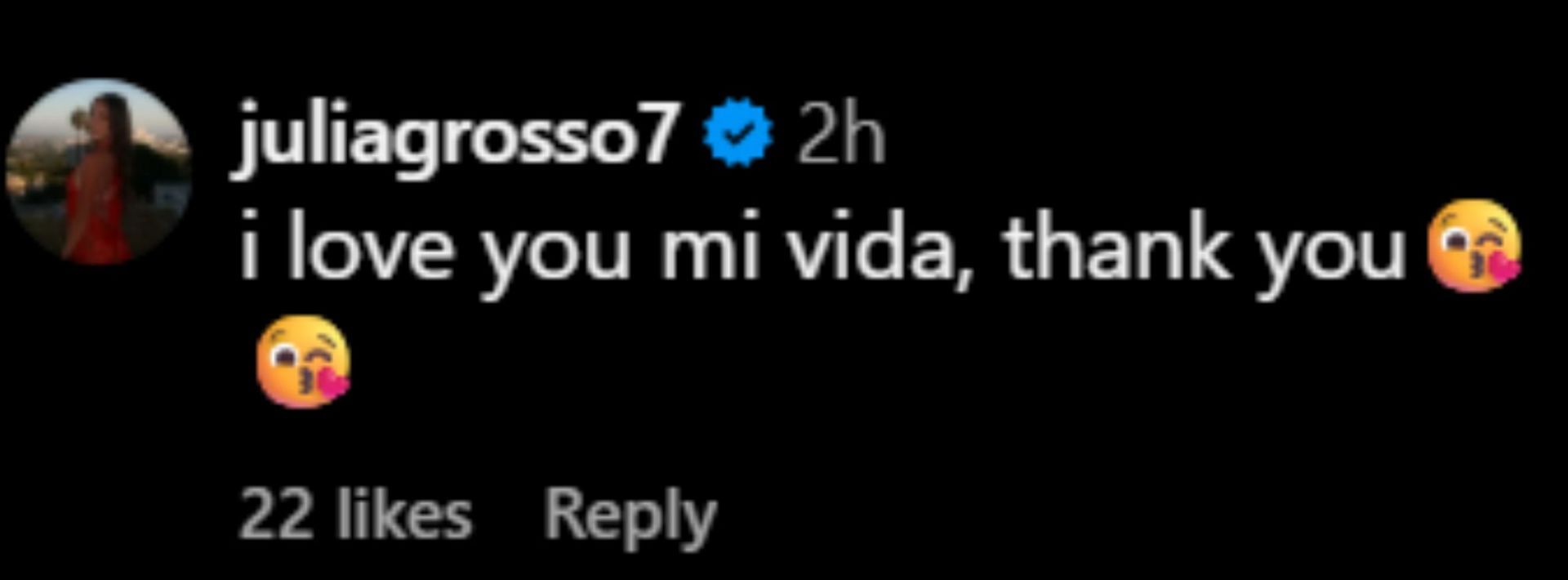 Julia Grosso&#039;s comment [Image Source: Instagram/jpena221]