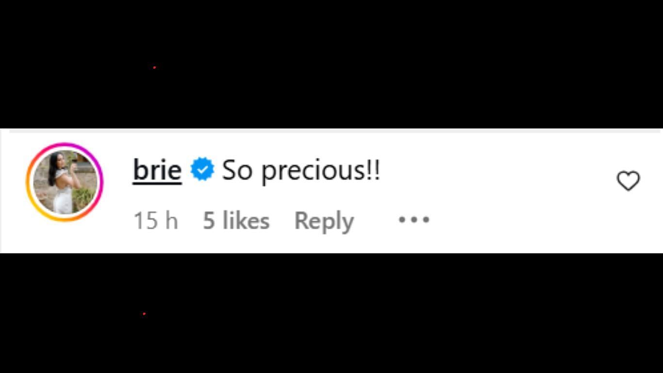 Brie&#039;s comment [ Screenshot taken from Instagram]
