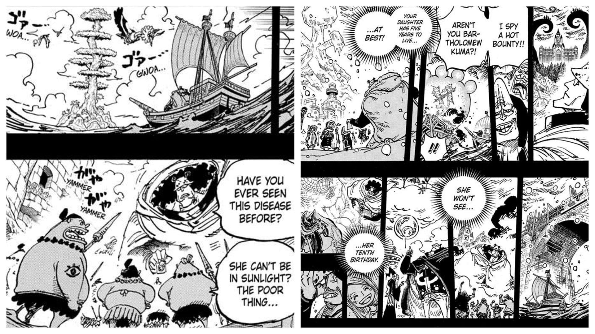 Amazon Lily wasn&#039;t among the places that Kuma visited (Image via Shueisha)