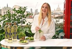 "Crazy thing called shared custody" - Sophie Turner fires back at a troll for giving her parenting advice