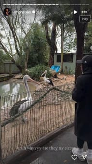 Screenshot of Biles' Instagram story.