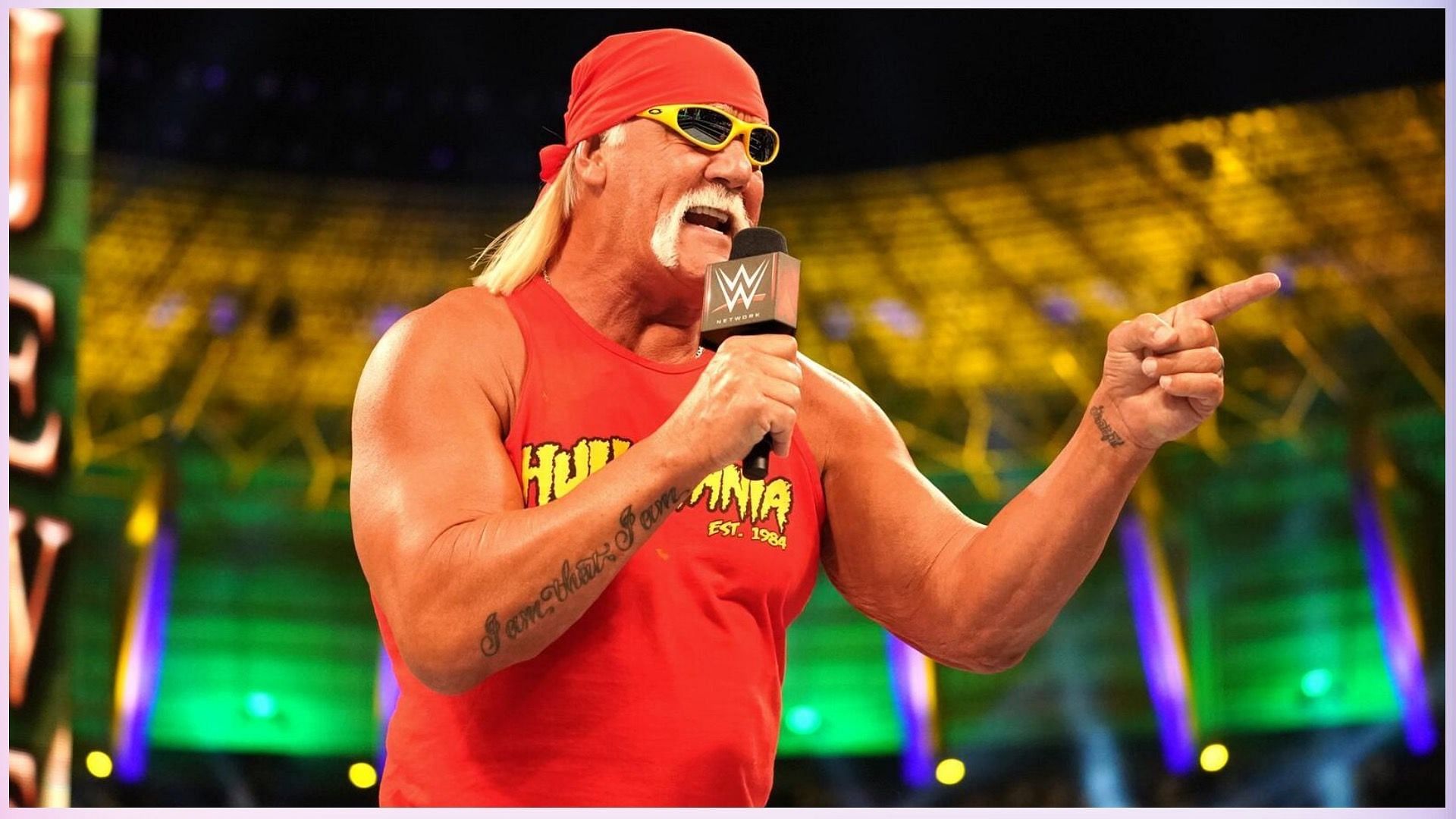 A new Hulk Hogan could take over WWE [Credit: WWE.com]