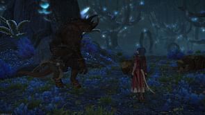 Final Fantasy XIV: How to start San d'Oria: The Second Walk (Echoes of Vanadiel)