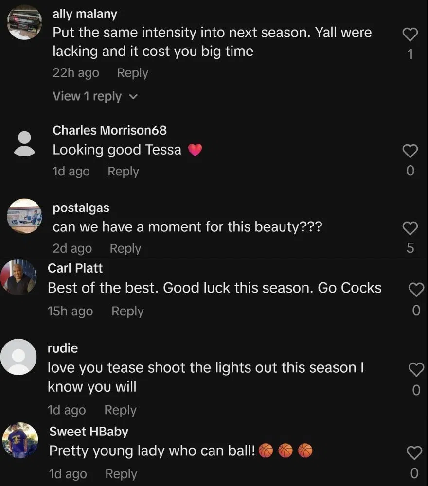 Fan comments on TikTok (@tessajohnsonnnn/IG)