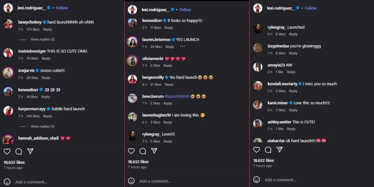 Screenshot of the Instagram post&#039;s comment section.