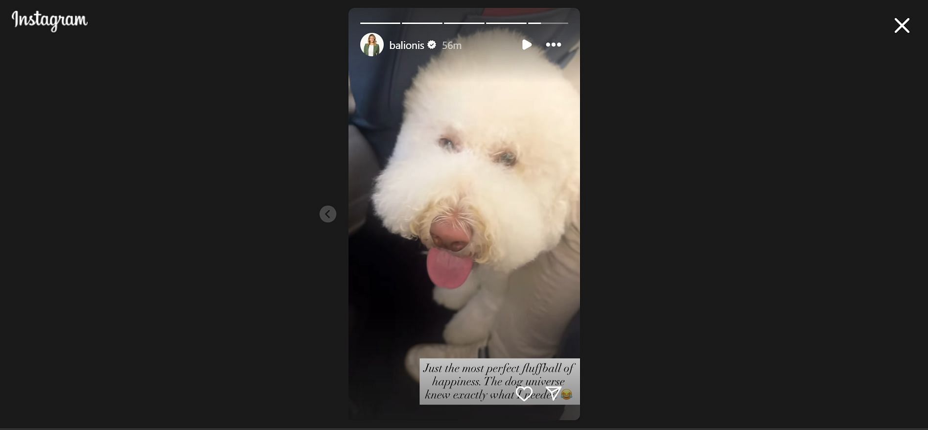 Still taken from Balionis&#039; Instagram story (Image Credit: Instagram @balionis)