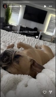 Screenshot of Biles' Instagram story.