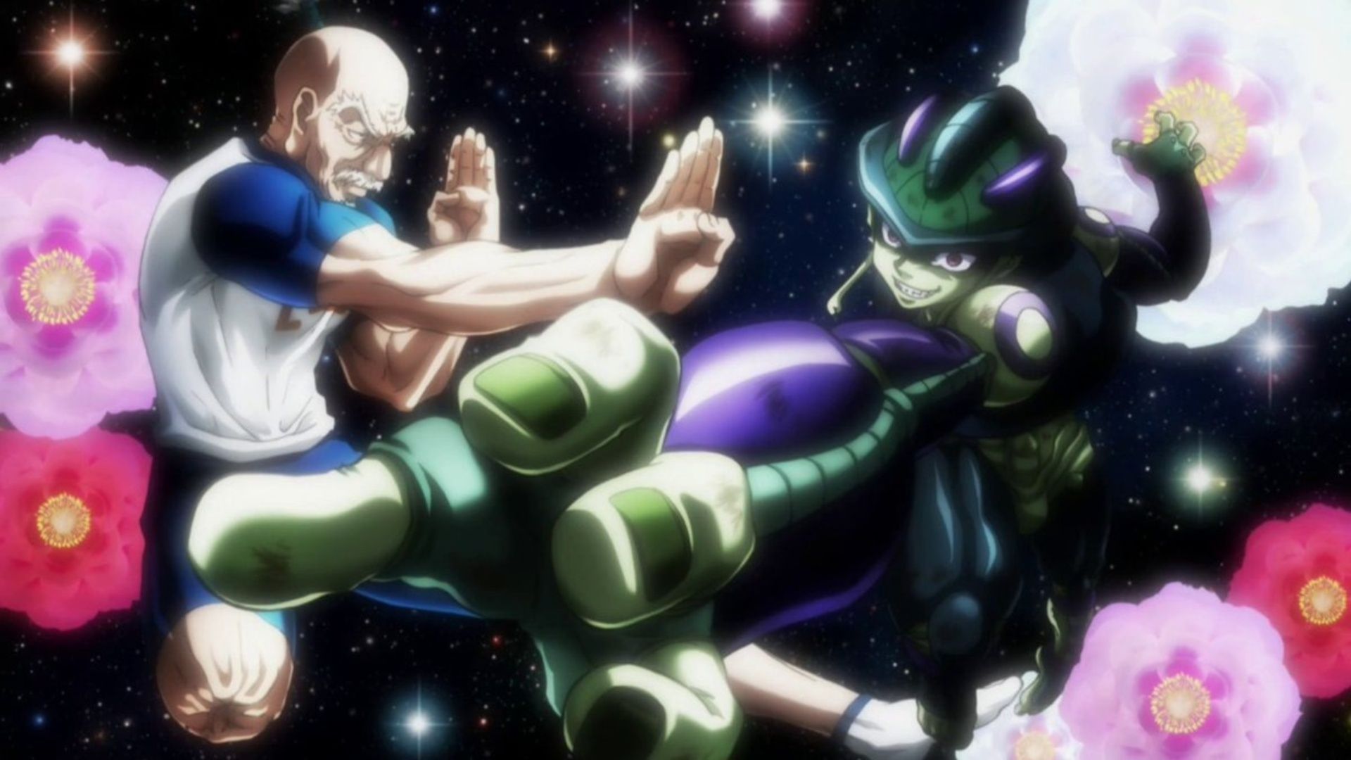 This Hunter x Hunter fight against Meruem