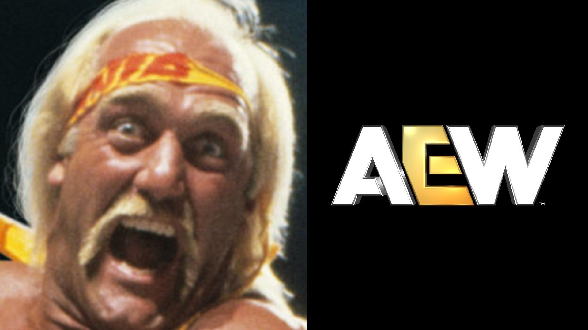 An AEW personality recently made a shocking claim about Hulk Hogan. (Images via WWE.com and AEW Facebook) 
