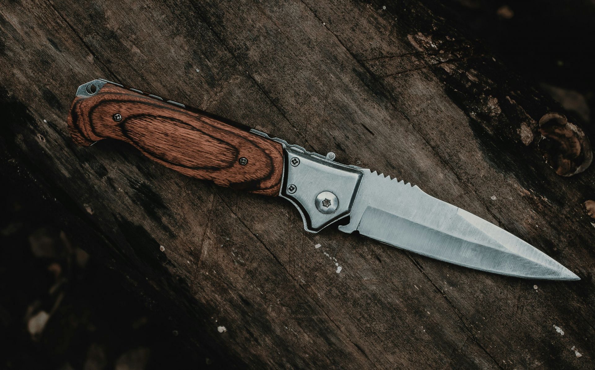 The twins stabbed Nikki Whitehead multiple times (Image via Unsplash)
