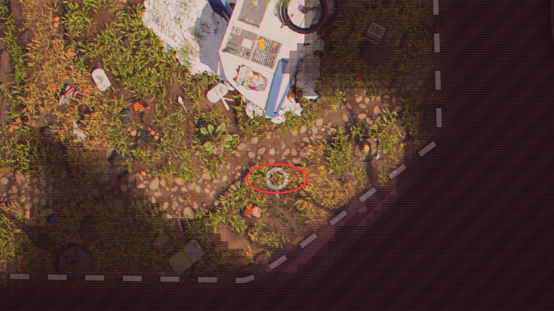 Look for Blueberry Garden and O.R.C. Bee (Image via Obsidian Entertainment)